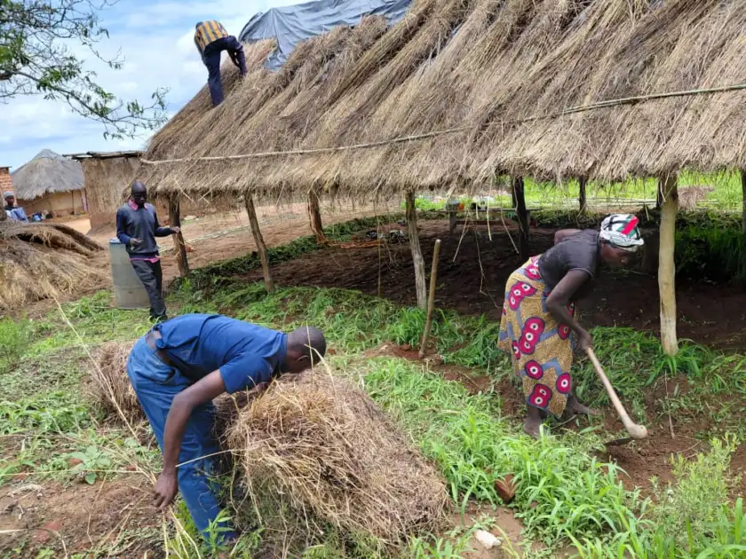 Thatching the church roof, Peace Tabernacle mission work, Zambia