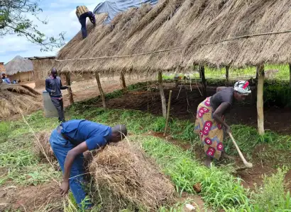 Thatching the church roof, Peace Tabernacle mission work, Zambia
